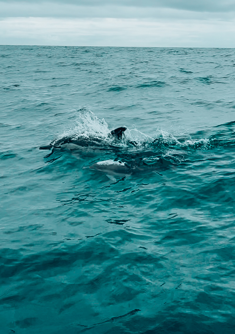 Mercure Newcastle and Coast XP